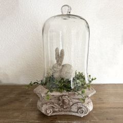 Glass Bell Jar Cloche 13 Inch