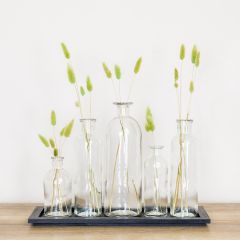 Glass Bottle Stem Vase Set of 5 With Tray