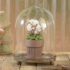 Glass Cloche on Rustic Metal Base