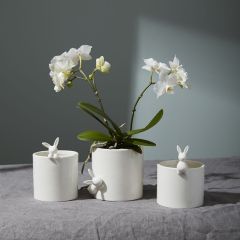 Glazed Porcelain Peeking Bunny Pots Set of 3