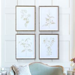 Gold Accent Framed Sepia Botanical Print Set of 4