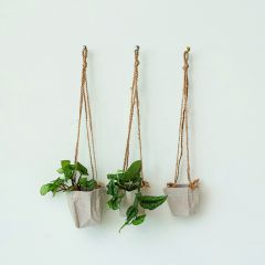 Hanging Cotton Basket Planter Set of 3