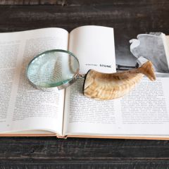 Horn Handle Magnifying Glass