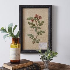 Japanese Rose Pressed Botanical Wall Art