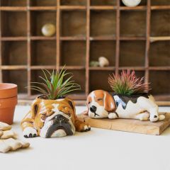 Lazy Dog Ceramic Planter