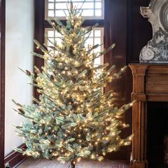 LED Blue Spruce Christmas Tree