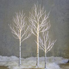 Lighted Birch Branch Tree