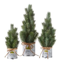 Local Grown Faux Christmas Tree In Bucket Set of 3