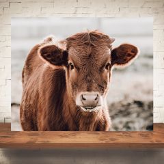 Longhorn Calf Print Wall Art