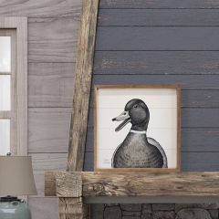 Mallard Duck By Robin Sue Studio Framed Wall Art