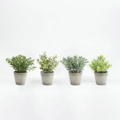 Mini Faux Potted Herbs Set of 4
