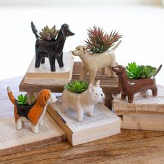 Miniature Ceramic Dog Planter Set of 5