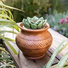 Modern Boho Potted Succulent Fountain