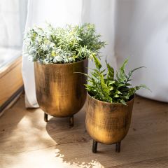 Modern Classics Footed Metal Planters Set of 2