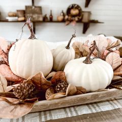 Moonlight Pumpkin Collection Set of 5