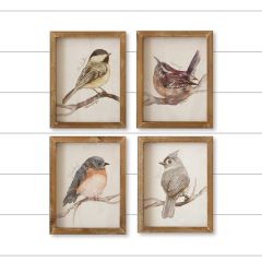 Named Bird Print Wall Art Set of 4