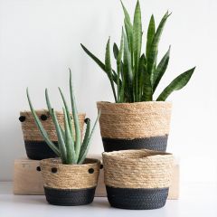 Natural Cattail Storage Baskets Set of 2
