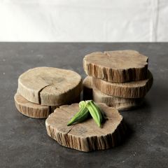 Natural Tree Slices