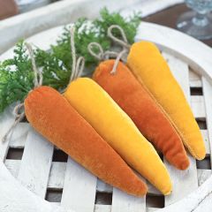 Orange Multi Velvet Carrot