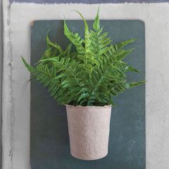 Paper Potted Faux Fern