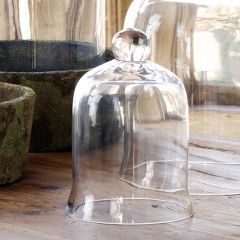 Petite Glass Bell Jar Cloche 8 Inch