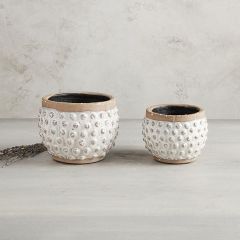 Polka Dot Textured Ceramic Planter