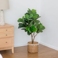 Potted Artificial Fiddle Fig Leaf Tree