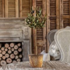 Potted Faux Olive Topiary
