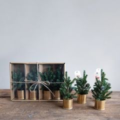 Potted Pine Tree Place Card Holder Set of 4