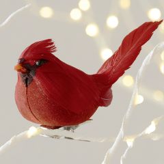 Pretty Cardinal Figure