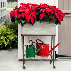 Rolling Metal Bucket Planter With Stand