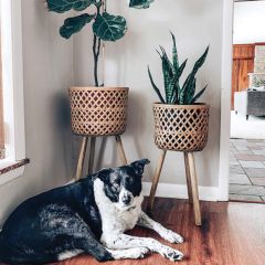 Round Bamboo Baskets on Stands Set of 3