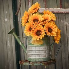 Rustic Farmhouse Watering Can