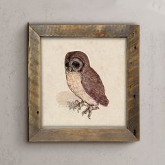 Rustic Framed Vintage Owl Wall Art