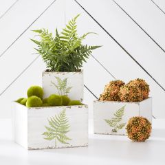 Rustic Nesting Box With Fern Decal Set of 3
