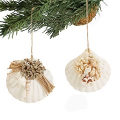 Seashell Ornaments, Set of 2