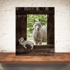 Sheep With Lamb Print Wall Art