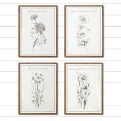 Simple Farmhouse Botanical Print Collection Set of 4