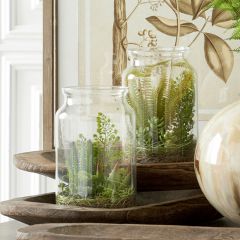 Simple Glass Vase Succulent Terrarium Set of 2