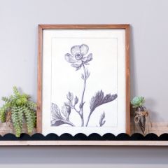 Sketch-Style Framed Floral Art 3