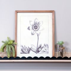 Sketch Style Framed Floral Wall Art