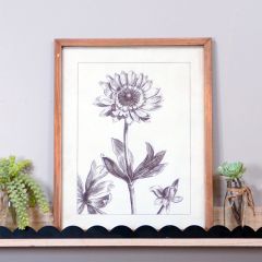 Sketch Style Framed Floral Wall Art