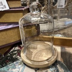Small Glass Dome With Wooden Base