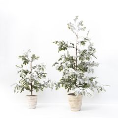 Snow Finished Potted Tree