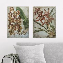 Spiced Orchid Canvas Print Set of 2