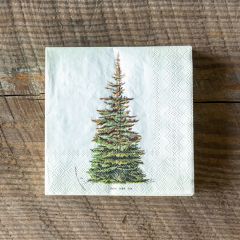 Spruce Tree Holiday Beverage Napkin