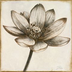 Square Sepia Floral Wall Art