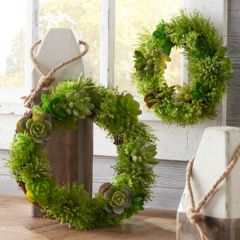 Succulent Wreath Set of 2