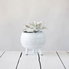 Textured Terracotta Footed Planter