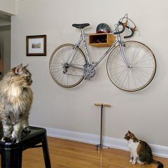 The D-TOWN Bike Shelf